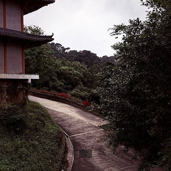睿云信息技术